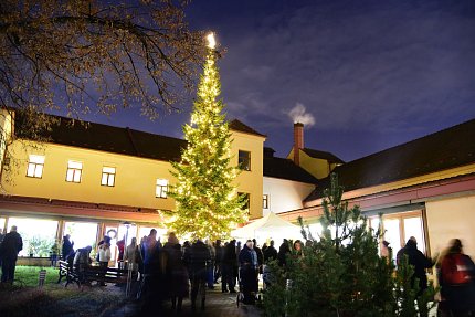 Rozsvícení stromu v Michelském dvoře 2025