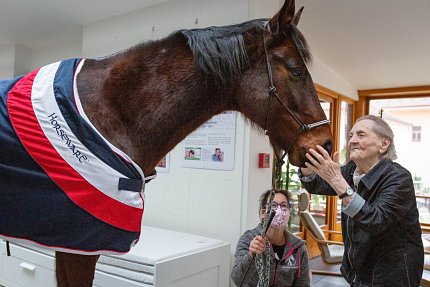 Návštěva terapeutického koně Sagiho - tentokrát v galerii Sue Ryder!