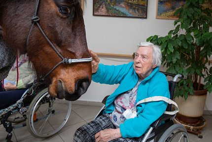 Návštěva terapeutického koně Sagiho - tentokrát v galerii Sue Ryder!