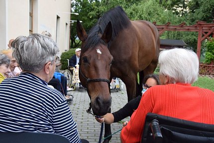 Setkání klientů s terapeutickým koněm Sagim