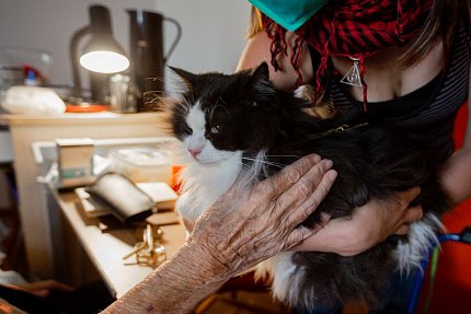 První felinoterapie v Sue Ryder
