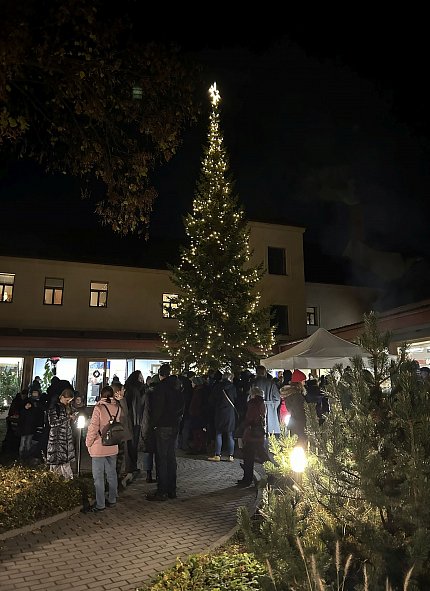 Slavnostně jsme rozsvítili vánoční strom v Michelském dvoře