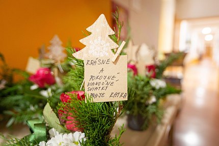 Mikuláš v Sue Ryder