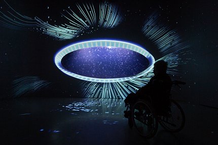 Výlet do světa medúz