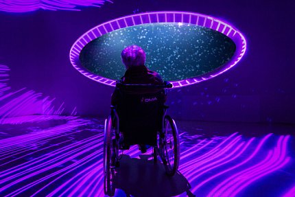 Výlet do světa medúz