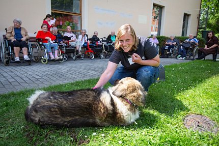 Slepice, psi, koza, králík, poník.. aneb zahradní setkání se zvířátky z Boušic 