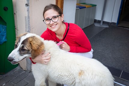 Slepice, psi, koza, králík, poník.. aneb zahradní setkání se zvířátky z Boušic 