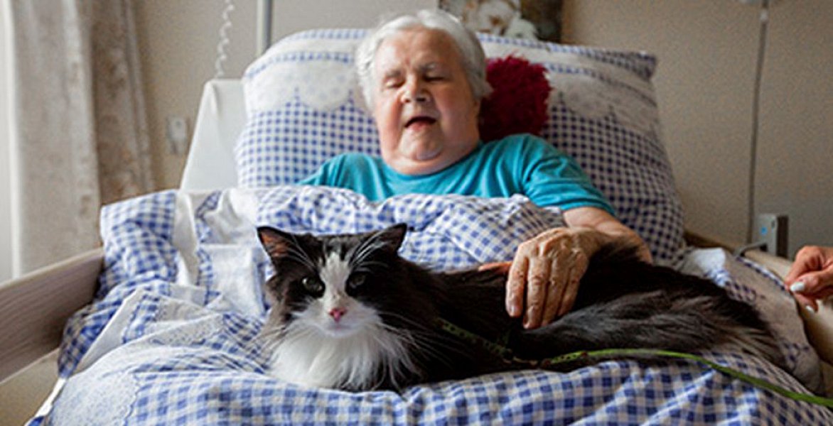 Fotogalerie: První felinoterapie v Sue Ryder