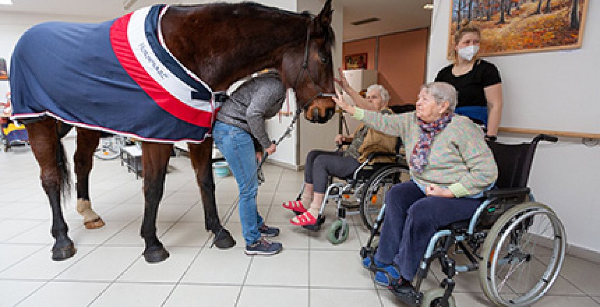 Fotogalerie: Návštěva terapeutického koně Sagiho - tentokrát v galerii Sue Ryder!