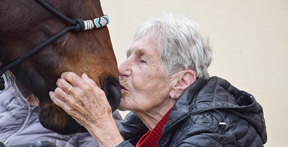 Fotogalerie: Zooterapie pro seniory - návštěva koně Sagiho na zahradě a kočičí kavárna