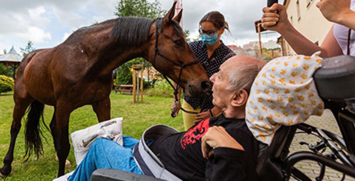 Fotogalerie: Setkání s terapeutickým koněm Sagim
